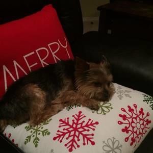 Meet your Posher, Lynette